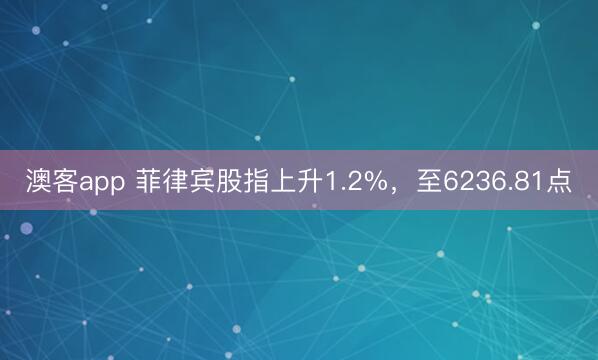 澳客app 菲律宾股指上升1.2%，至6236.81点