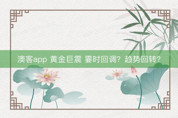 澳客app 黄金巨震 霎时回调？趋势回转？