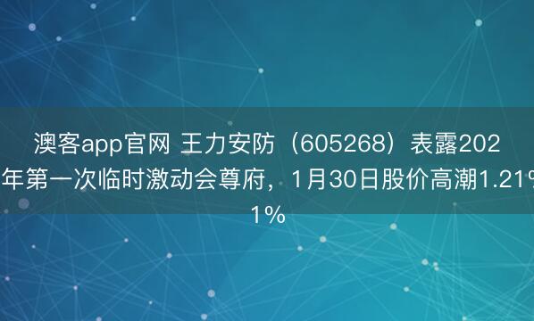 澳客app官网 王力安防（605268）表露2026年第一次临时激动会尊府，1月30日股价高潮1.21%
