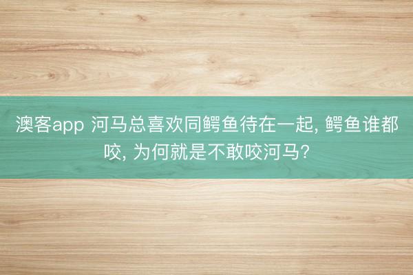 澳客app 河马总喜欢同鳄鱼待在一起， 鳄鱼谁都咬， 为何就是不敢咬河马?