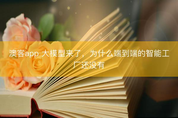 澳客app 大模型来了，为什么端到端的智能工厂还没有