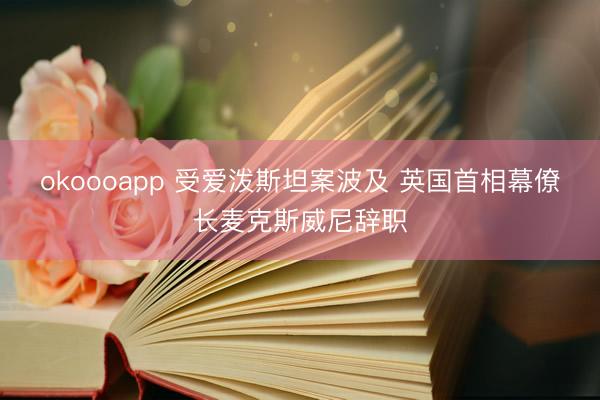 okoooapp 受爱泼斯坦案波及 英国首相幕僚长麦克斯威尼辞职