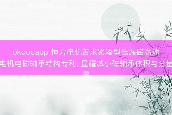 okoooapp 恒力电机苦求紧凑型低漏磁高速电机电磁轴承结构专利， 显耀减小磁轴承体积与分量