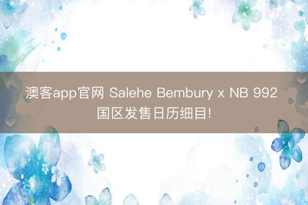 澳客app官网 Salehe Bembury x NB 992 国区发售日历细目!