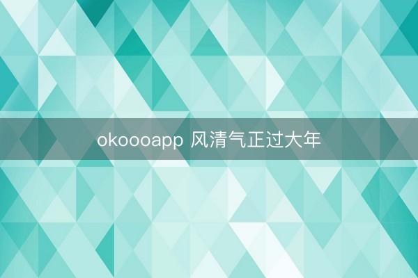okoooapp 风清气正过大年