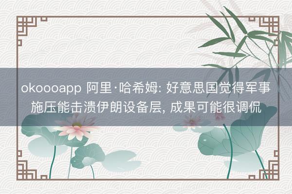okoooapp 阿里·哈希姆: 好意思国觉得军事施压能击溃伊朗设备层， 成果可能很调侃