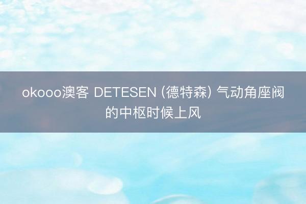 okooo澳客 DETESEN (德特森) 气动角座阀的中枢时候上风