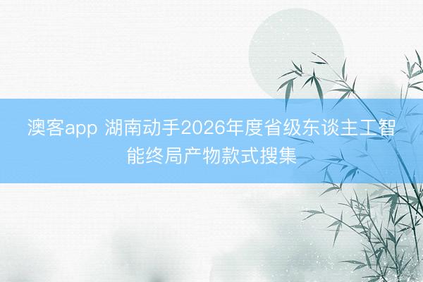 澳客app 湖南动手2026年度省级东谈主工智能终局产物款式搜集