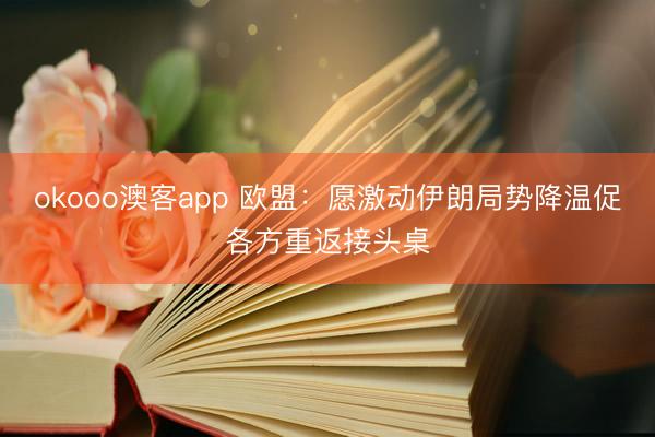 okooo澳客app 欧盟：愿激动伊朗局势降温促各方重返接头桌