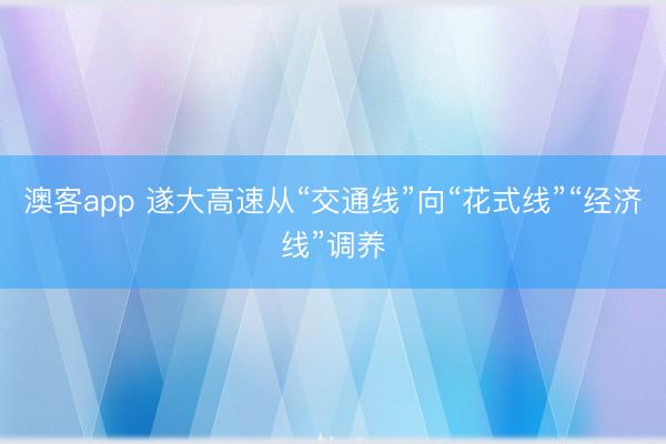 澳客app 遂大高速从“交通线”向“花式线”“经济线”调养
