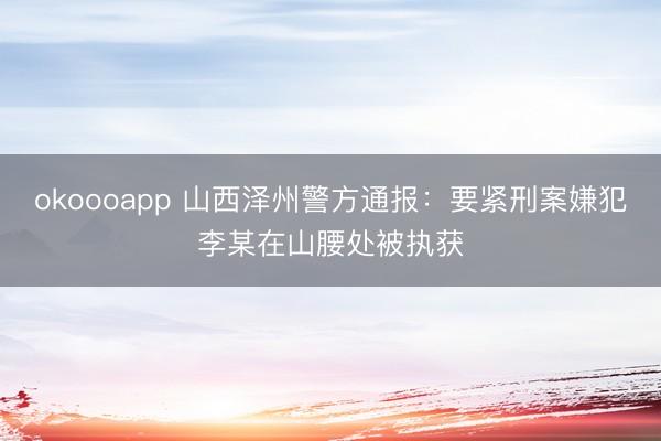 okoooapp 山西泽州警方通报：要紧刑案嫌犯李某在山腰处被执获