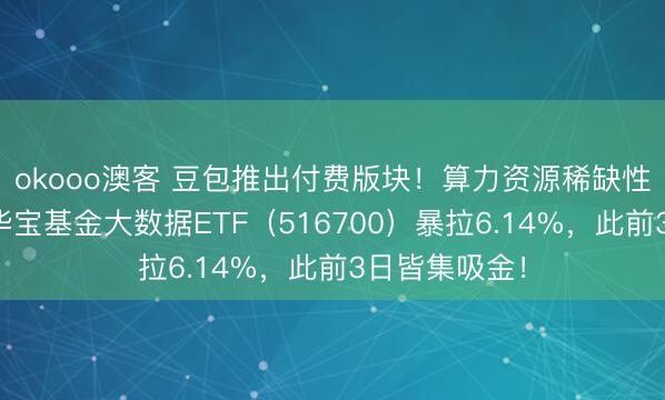 okooo澳客 豆包推出付费版块！算力资源稀缺性捏续突显！华宝基金大数据ETF（516700）暴拉6.14%，此前3日皆集吸金！